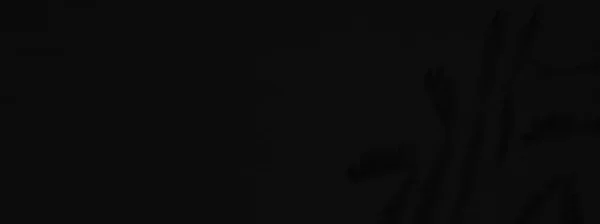 Фон Градиент Черный Накладывается Абстрактный Фон Черный Ночной Темный Вечерний — стоковое фото