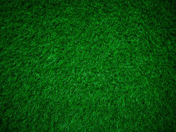 Green Grass Texture Background Grass Garden Grassland Concept Used Making —  Fotos de Stock
