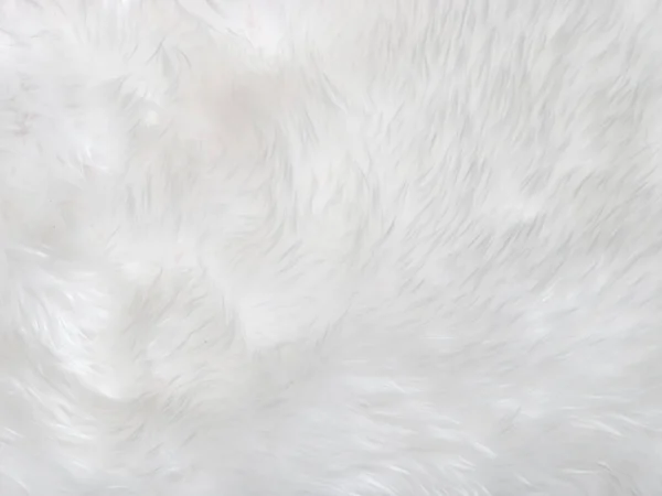 白色干净的羊毛质地背景 轻盈的天然羊毛 白色无缝棉 设计师用绒毛的质地 特写片断白色毛毯 — 图库照片