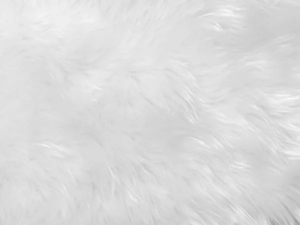 白色干净的羊毛质地背景 轻盈的天然羊毛 白色无缝棉 设计师用绒毛的质地 特写片断白色毛毯 — 图库照片
