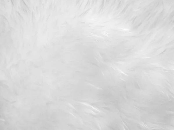 Blanc Texture Laine Propre Fond Laine Mouton Naturelle Légère Coton — Photo