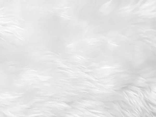 Білий Чистий Фон Текстури Вовни Легка Натуральна Овеча Шерсть Біла — стокове фото