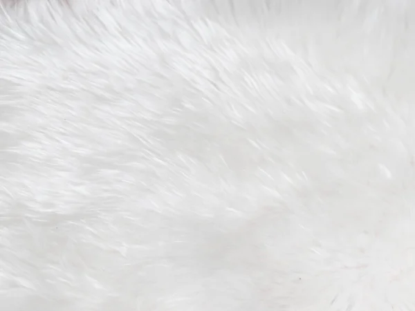 Λευκό Καθαρό Μαλλί Υφή Φόντο Ελαφρύ Φυσικό Μαλλί Προβάτου Λευκό — Φωτογραφία Αρχείου