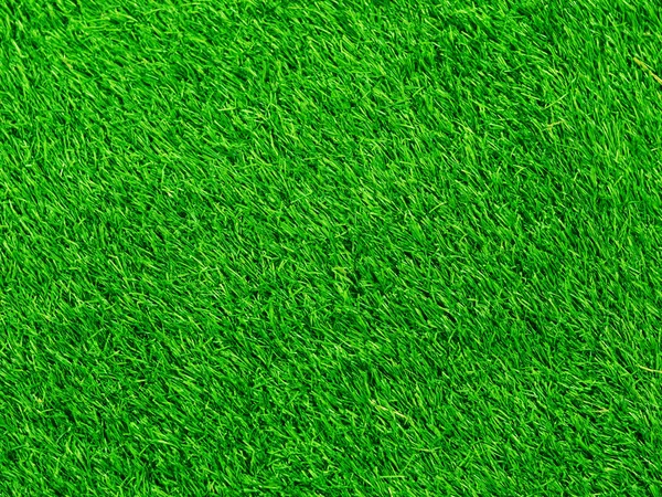 Green Grass Texture Background Grass Garden Concept Used Making Green — Foto de Stock