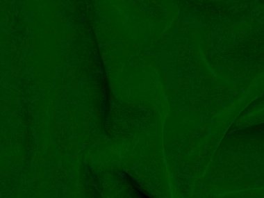 Dark green old velvet fabric texture used as background. Empty green fabric background of soft and smooth textile material. There is space for text..	