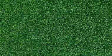 Green grass texture background grass garden concept used for making green background football pitch, Grass Golf, green lawn pattern textured background..	