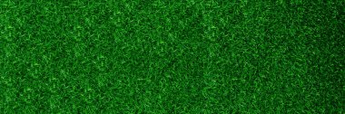 Green grass texture background grass garden concept used for making green background football pitch, Grass Golf, green lawn pattern textured background..	