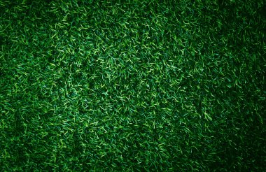 Green grass texture background grass garden concept used for making green background football pitch, Grass Golf, green lawn pattern textured background..	
