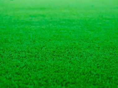 Green grass texture background grass garden concept used for making green background football pitch, Grass Golf, green lawn pattern textured background.	