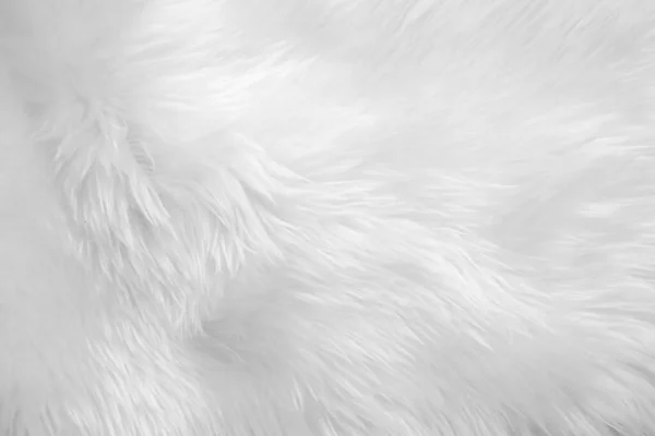White Clean Wool Texture Background Light Natural Sheep Wool Blanket — Stock Photo, Image