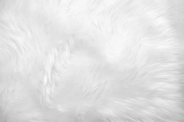 Branco Limpo Fundo Textura Ovelha Natural Leve Cobertor Algodão Sem — Fotografia de Stock