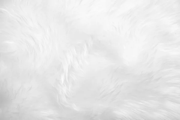 Белый Чистый Фон Текстуры Шерсти Светлая Натуральная Овечья Шерсть Одеяло — стоковое фото