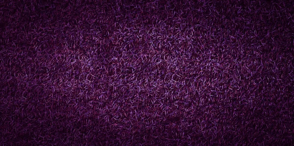 Purple Grass Texture Background Grass Garden Concept Used Making Violet — Stock Photo, Image