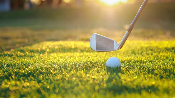 Golf Ball Close Tee Grass Blurred Beautiful Landscape Golf Background — Zdjęcie stockowe