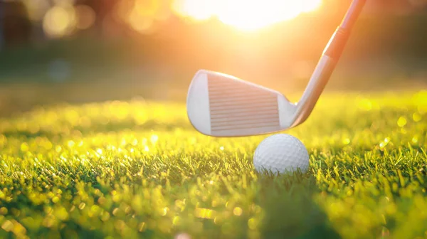 Golf Ball Close Tee Grass Blurred Beautiful Landscape Golf Background — Stock Fotó