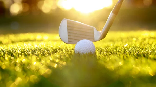 Golf Ball Close Tee Grass Blurred Beautiful Landscape Golf Background — Stok fotoğraf