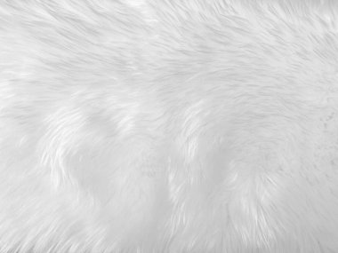 White clean wool texture background. light natural sheep wool. white seamless cotton. texture of fluffy fur for designers. close-up fragment white wool carpet...	