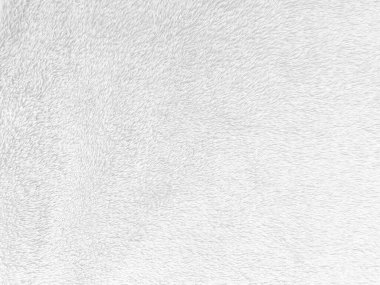 White clean wool texture background. light natural sheep wool. white seamless cotton. texture of fluffy fur for designers. close-up fragment white wool carpet.	