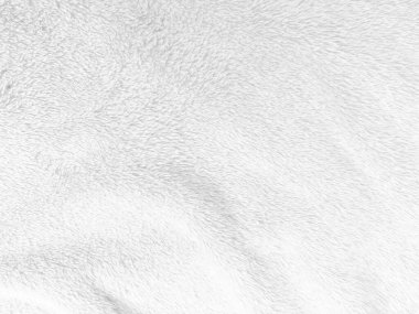 White clean wool texture background. light natural sheep wool. white seamless cotton. texture of fluffy fur for designers. close-up fragment white wool carpet.	