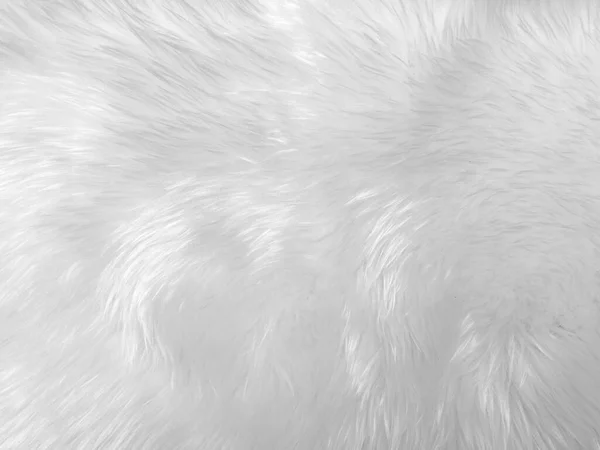 White Clean Wool Texture Background Light Natural Sheep Wool White — 图库照片