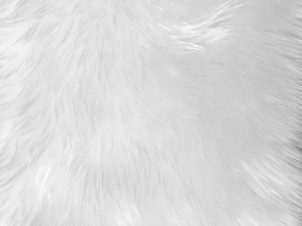 White Clean Wool Texture Background Light Natural Sheep Wool White — Stockfoto