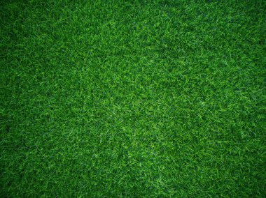 Green grass texture background grass garden concept used for making green background football pitch, Grass Golf, green lawn pattern textured background...	