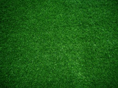 Green grass texture background grass garden concept used for making green background football pitch, Grass Golf, green lawn pattern textured background...	