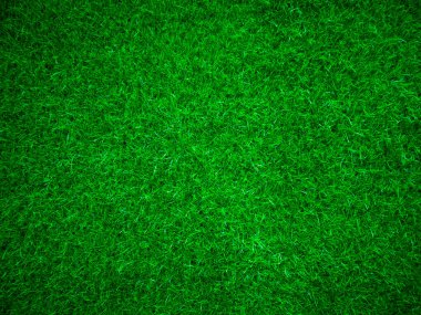 Green grass texture background grass garden concept used for making green background football pitch, Grass Golf, green lawn pattern textured background...	