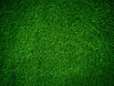 Green grass texture background grass garden concept used for making green background football pitch, Grass Golf, green lawn pattern textured background...	