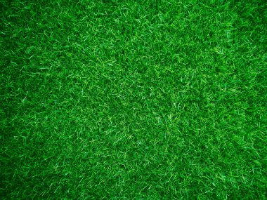 Green grass texture background grass garden concept used for making green background football pitch, Grass Golf, green lawn pattern textured background...	