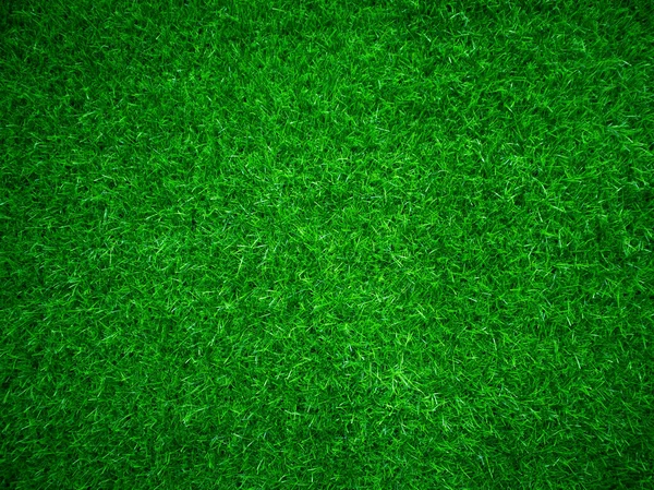 Green Grass Texture Background Grass Garden Concept Used Making Green — стоковое фото