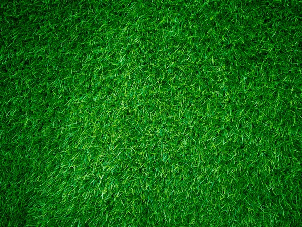 Green Grass Texture Background Grass Garden Concept Used Making Green — ストック写真