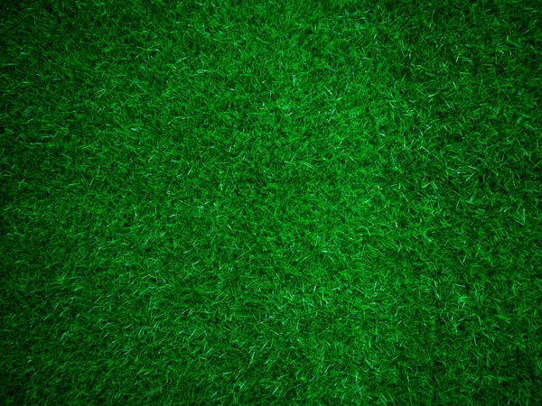 Green Grass Texture Background Grass Garden Concept Used Making Green — Stok fotoğraf