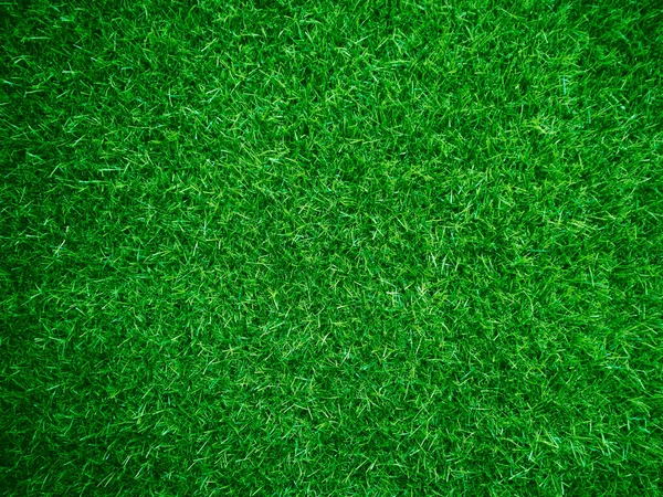 Green Grass Texture Background Grass Garden Concept Used Making Green — Photo
