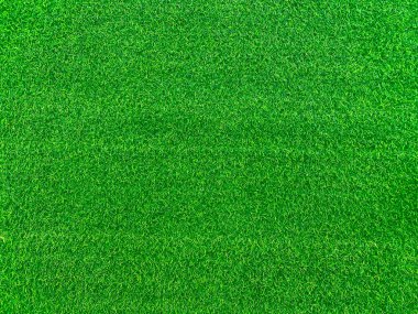 Green grass texture background grass garden concept used for making green background football pitch, Grass Golf, green lawn pattern textured background..	