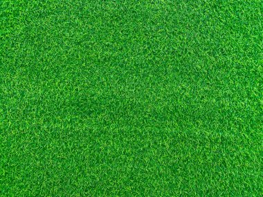 Green grass texture background grass garden concept used for making green background football pitch, Grass Golf, green lawn pattern textured background..	