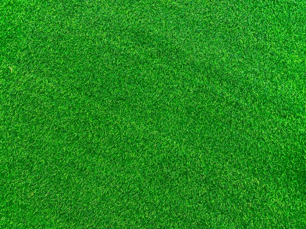 Green Grass Texture Background Grass Garden Concept Used Making Green — Stock fotografie