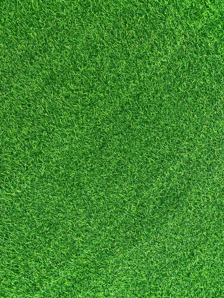 Green Grass Texture Background Grass Garden Concept Used Making Green — Foto de Stock