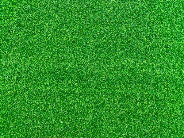Green Grass Texture Background Grass Garden Concept Used Making Green — Stok fotoğraf