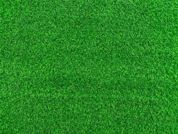 Green Grass Texture Background Grass Garden Concept Used Making Green — Foto Stock