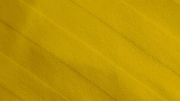 Жовта Оксамитова Текстура Тканини Використовується Фон Порожній Жовтий Тканинний Фон — стокове фото