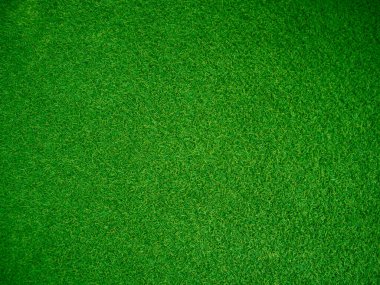 Green grass texture background grass garden concept used for making green background football pitch, Grass Golf, green lawn pattern textured background...	