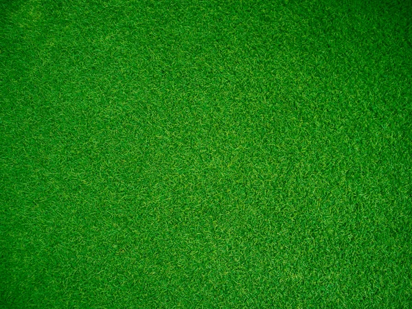 Green Grass Texture Background Grass Garden Concept Used Making Green — Stok Foto