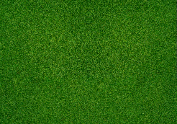 Green Grass Texture Background Grass Garden Concept Used Making Green —  Fotos de Stock
