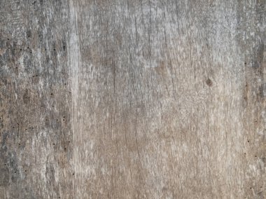 Old wood texture crack, gray-white tone. Use this for wallpaper or background image. There is a blank space for text.	