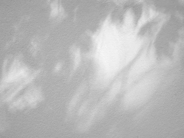 Textura Sem Costura Parede Cimento Branco Uma Superfície Áspera Sombra — Fotografia de Stock