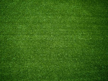 Green grass texture background grass garden concept used for making green background football pitch, Grass Golf, green lawn pattern textured background....	