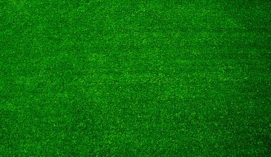Green grass texture background grass garden concept used for making green background football pitch, Grass Golf, green lawn pattern textured background....	