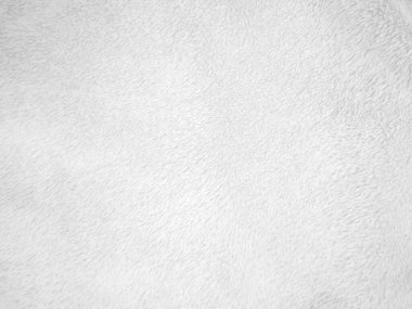 Beyaz, temiz yün dokusu arka planda. hafif doğal koyun yünü. Beyaz, pürüzsüz pamuk. Tasarımcılar için tüylü kürk dokusu. yakın plan beyaz yün halı..
