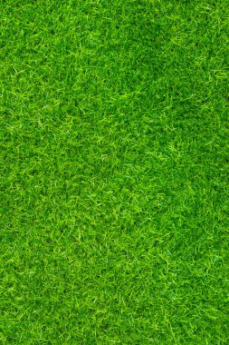 Yeşil çimen dokusu arka plan çimen bahçe konsepti yeşil arka plan futbol sahası, çim golf, yeşil çimen desenli arka plan..